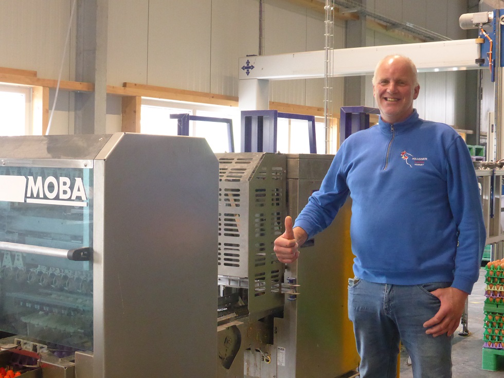 Maassen Pluimvee Homoet: Supplier of Fresh, Tasty Eggs