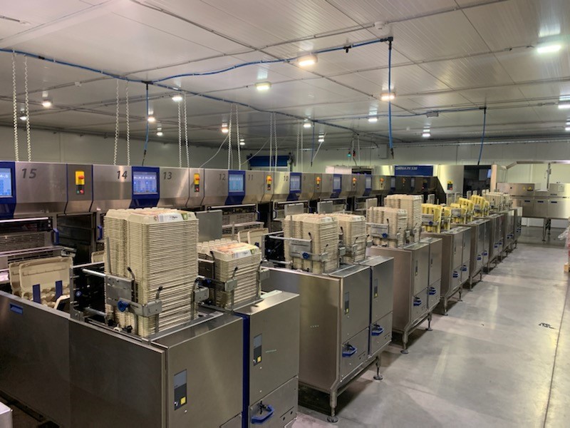 Szijarto, a Strong Player in the Hungarian Egg Market